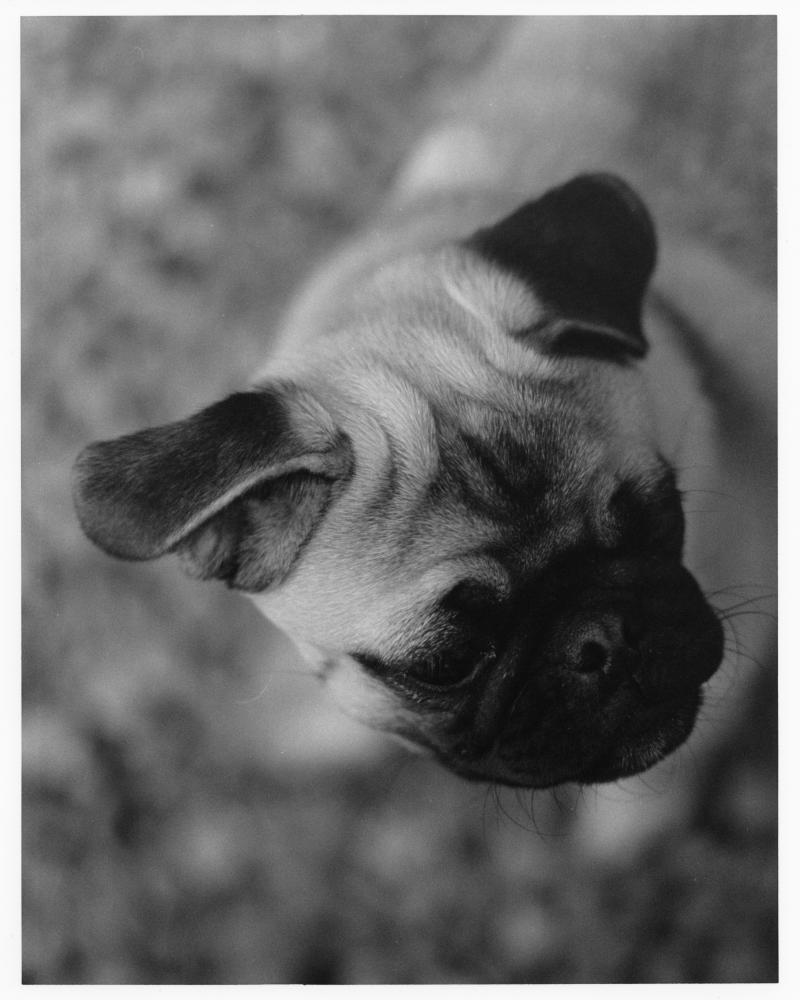 Charlie Headshot