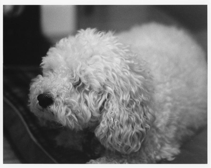 Millie
